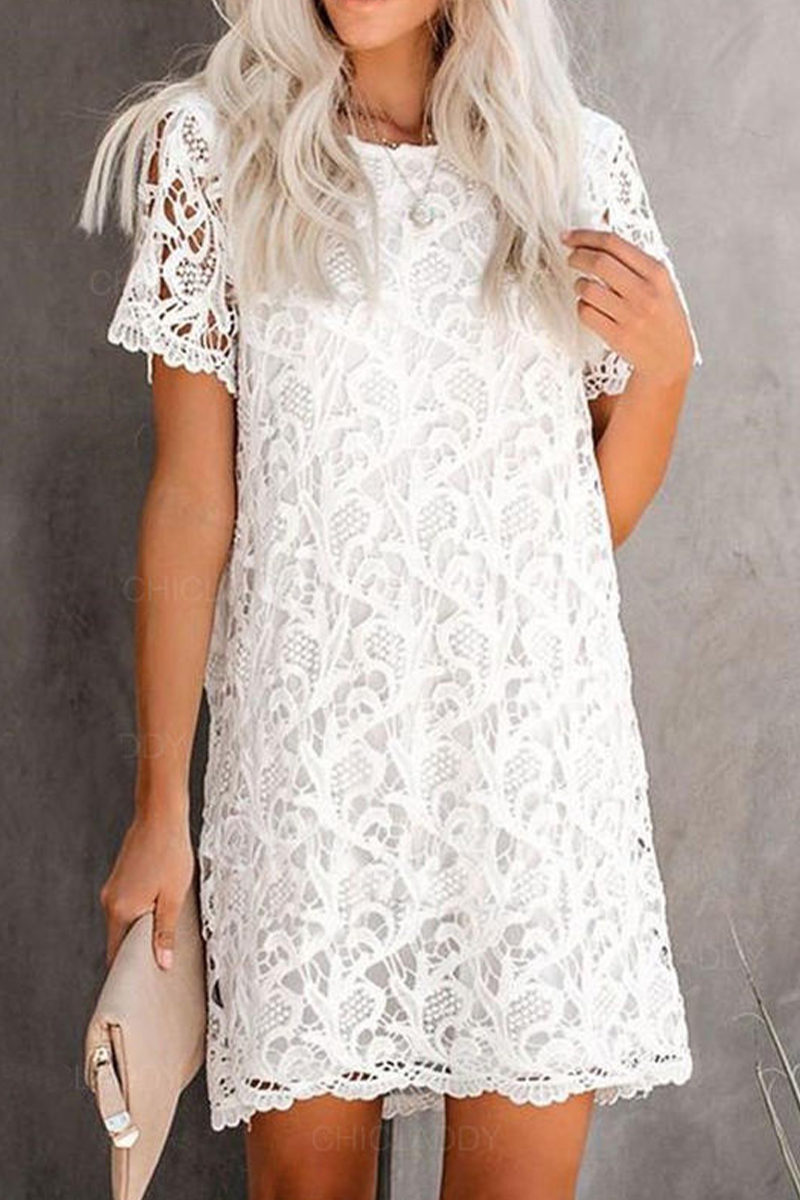 Nova | Lace Dress - Sheath Knee-Length - Elle & Milo