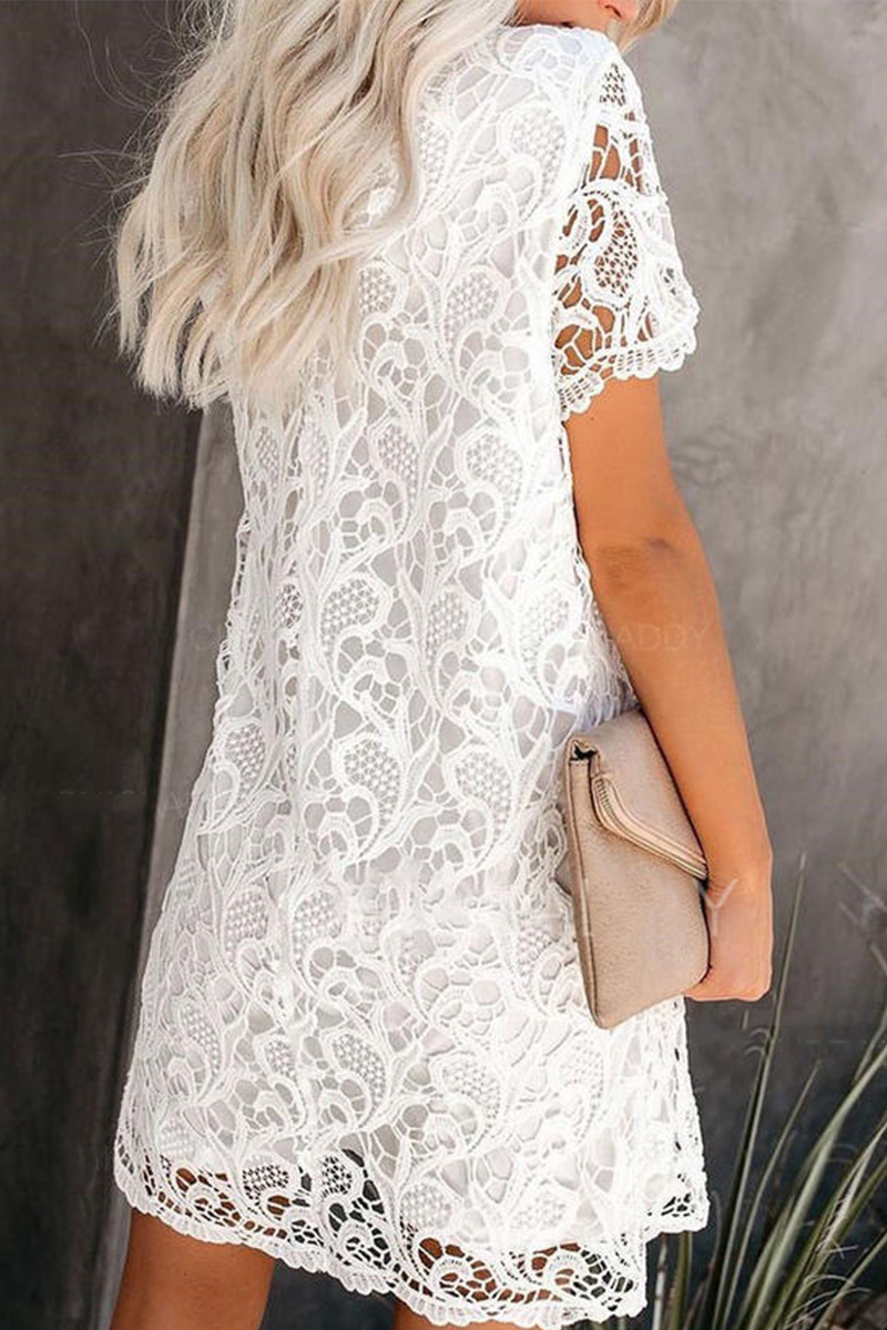Nova | Lace Dress - Sheath Knee-Length - Elle & Milo